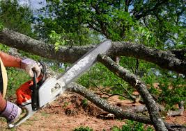  Mundelein, IL Tree Removal and Landscaping Services Pros